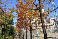 1dsc04727